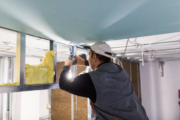 Best Types of Insulation in Cottonport, LA