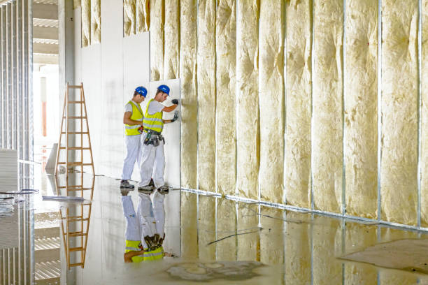 Best Types of Insulation in Cottonport, LA